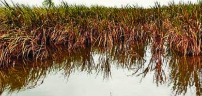 Mudanças climáticas: os eventos extremos que provocaram mortes, deslocamentos e prejuízos bilionários em 2021