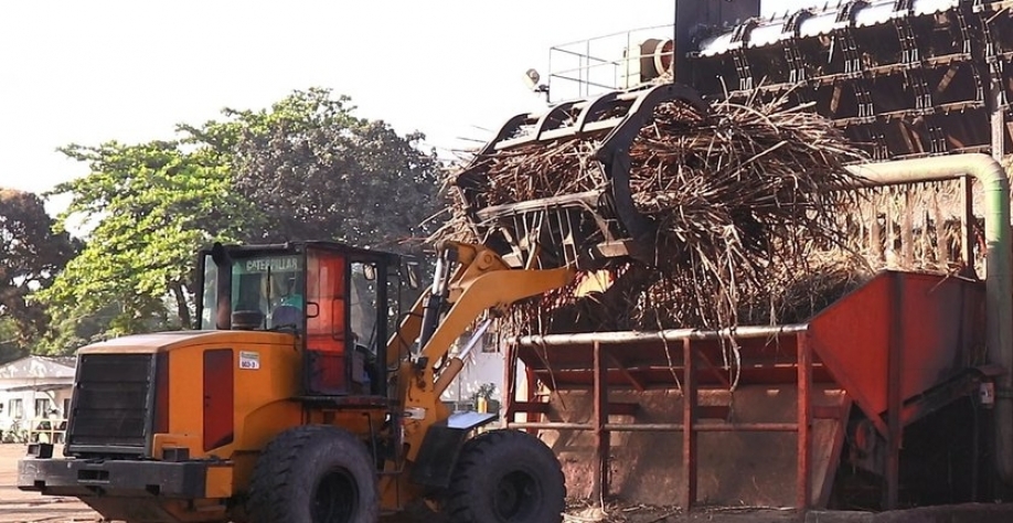 Com quase quatro meses de moagem a safra 21/22 segue a pleno vapor em Alagoas - Foto: Assessoria