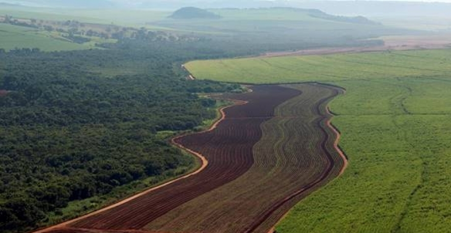 Vista aérea de uma das usinas associadas da Copersucar mostra a integração com o meio ambiente (Foto: Na Lata)