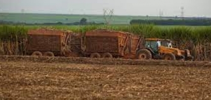 Cana/Unica: se área cair 2% em 2022/23 e produtividade subir 8,5%, moagem pode atingir 560 mi de t