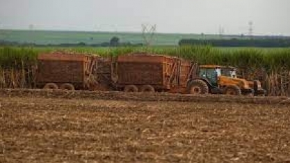 Cana/Unica: se área cair 2% em 2022/23 e produtividade subir 8,5%, moagem pode atingir 560 mi de t