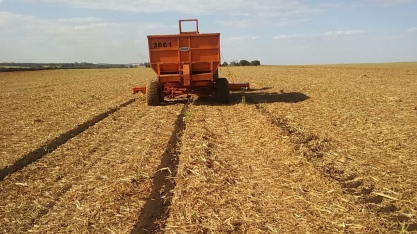 Aplicar torta de filtro no período pós-colheita melhora performance do canavial, reduz custos na área agrícola e contribui para a preservação ambiental, diminuindo o consumo de adubo químico