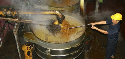 Importações de óleo vegetal pela Índia saltam 11% em novembro