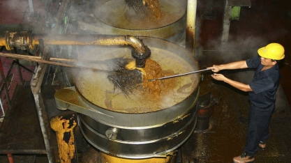 Importações de óleo vegetal pela Índia saltam 11% em novembro