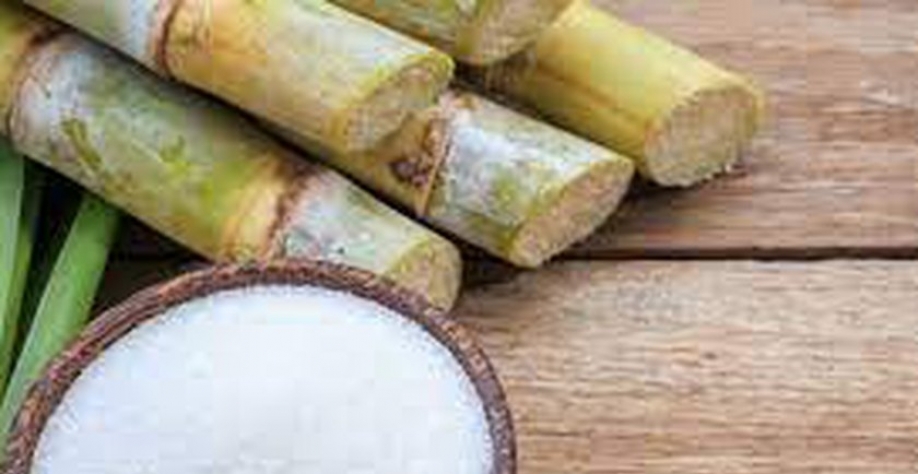 Já o refinado, fabricado apenas pela usina Marituba, soma uma produção acumulada de 23.945 toneladas. - Foto: Reprodução