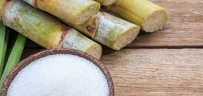 Sindaçúcar-AL: produção de açúcar tem crescimento de 1,4% na safra 21/22