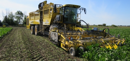 Por que a Suíça mantém uma produção de açúcar pouco rentável