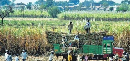 Índia baixa imposto de mistura de etanol de 18% para 5%