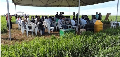 Vagas no agro: para quem são as melhores oportunidades de carreira