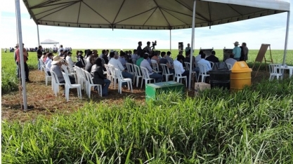 Vagas no agro: para quem são as melhores oportunidades de carreira