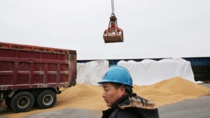 Balança comercial do agronegócio tem superávit de US$ 105,1 bilhões em 2021
