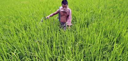 Índia planeja mais de US$ 40 bi em subsídios a alimentos e fertilizantes