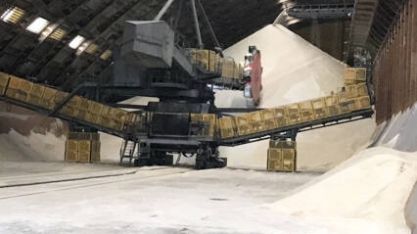 Produção de açúcar em AL tem crescimento de 1,4% na safra 21/22