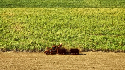 Com safra no fim, última quinzena não registra moagem de cana