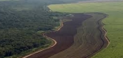 “Não dá para ter agronegócio sem ambiente”, diz Marcos Fava Neves