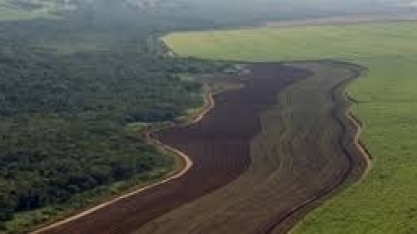 “Não dá para ter agronegócio sem ambiente”, diz Marcos Fava Neves