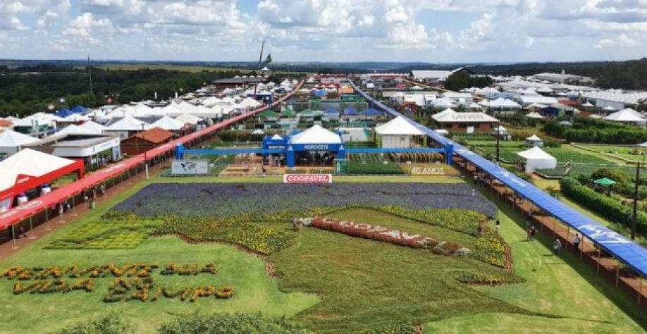 Foto: Marcos Paulo Mariano/Canal Rural