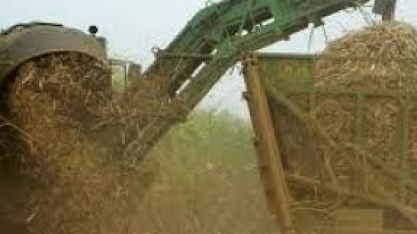 Etanol na safra 2022/23 deve ser mais lucrativo do que açúcar