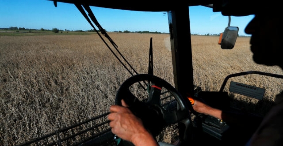Fiagro é um papel que permite ao investidor alocar no agronegócio (Imagem: Reuters/Agustin Marcarian)