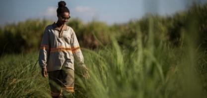 Tereos lança primeiro relatório de Sustentabilidade Brasil