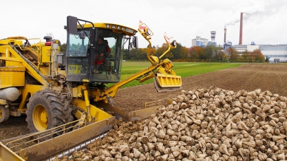 Suedzucker confirma aumento de 90% no lucro trimestral com recuperação do setor de açúcar
