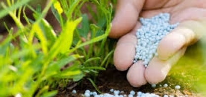 Crise de fertilizante afeta produção agrícola na Europa; preços disparam