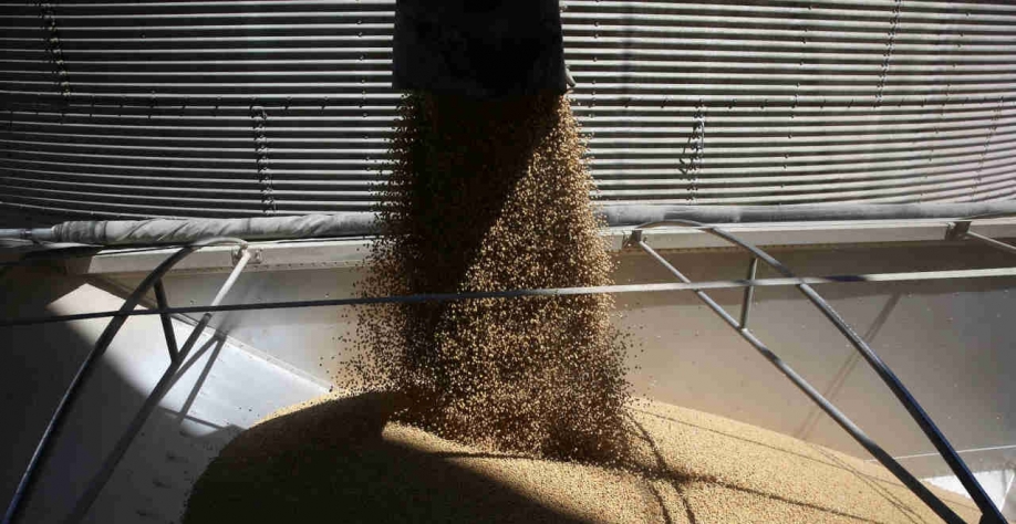 Ainda de acordo com a Secex, a média diária de exportações de açúcar atingiu 60,35 mil toneladas, contra 100,14 mil toneladas exportadas ao dia em janeiro do ano passado (Imagem: REUTERS/Daniel Acker)