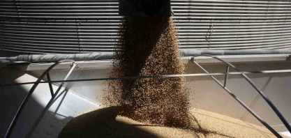 Exportação de soja do Brasil segue em forte alta até 2ª semana de janeiro e açúcar cai