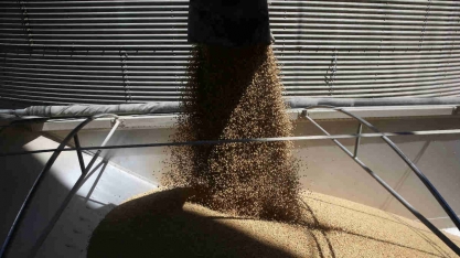 Exportação de soja do Brasil segue em forte alta até 2ª semana de janeiro e açúcar cai