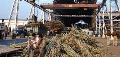 Produção de açúcar da Índia em 2021/22 pode aumentar 3% para 31,9 mi t, diz órgão comercial
