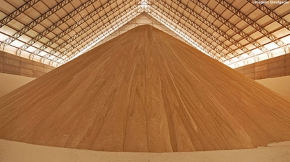 Açúcar se recupera e encerra a semana em alta nas bolsas internacionais