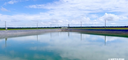 Qualidade da água interfere nos processos fisiológicos das plantas e no funcionamento dos sistemas de irrigação