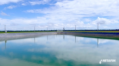 Qualidade da água interfere nos processos fisiológicos das plantas e no funcionamento dos sistemas de irrigação