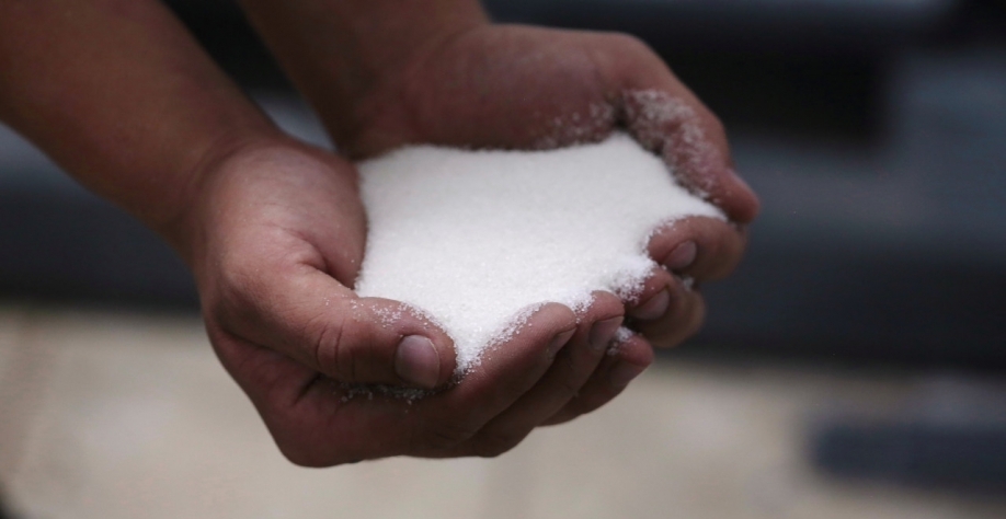 Os contratos futuros de açúcar bruto na ICE caíram na segunda-feira para 17,6 centavos de dólar por libra-peso, o menor nível em mais de cinco meses (Imagem: REUTERS/Juan Carlos Ulate)