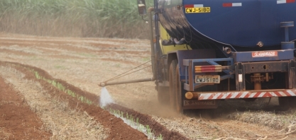 Muda pré-brotada (MPB) pede água