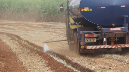 Muda pré-brotada (MPB) pede água