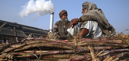 Exportações indianas de açúcar desaceleram após correção de preços globais