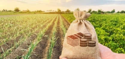 Brasil tem 31 Fiagros registrados; valores de emissão atingem R$ 7,5 bilhões