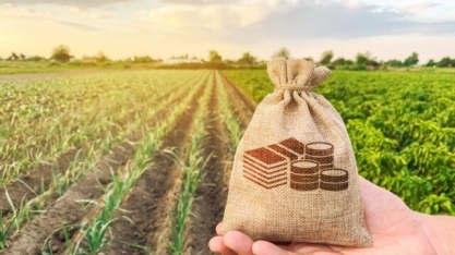 Brasil tem 31 Fiagros registrados; valores de emissão atingem R$ 7,5 bilhões