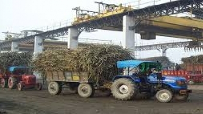Governo indiano veta vitória do Brasil em disputa sobre comércio de açúcar na OMC