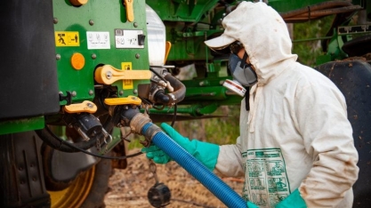 ‘Brasil é mais importante que o interesse político’, diz Miguel Daoud