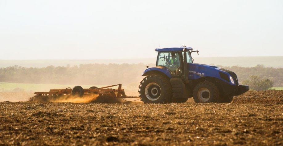 Redução de tratos culturais não é uma boa alternativa para reduzir custos