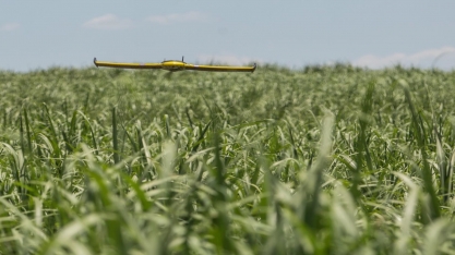 Uso de drones no setor sucroenergético se intensifica e já faz a diferença nos canaviais