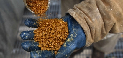 China manterá tarifa sobre grãos de destilaria dos EUA, enquanto conduz revisão