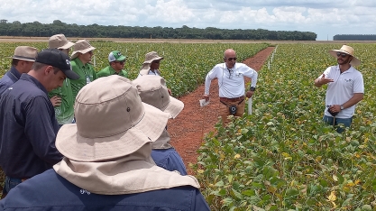 Ocorrência de pragas, doenças e plantas daninhas na safra de soja 2021/22 em Mato Grosso