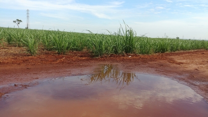 Começamos 2022 com boas notícias para o setor sucroenergético