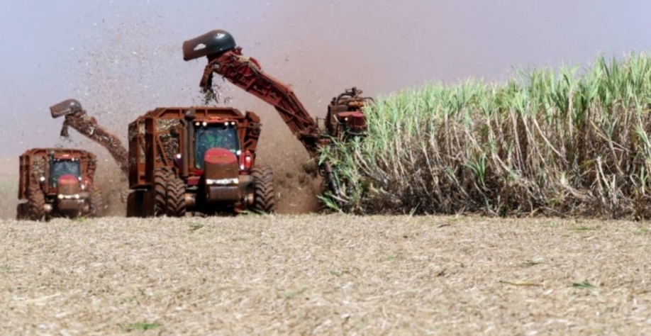 Volume de cana processada no centro-sul do Brasil deverá somar cerca de 4 milhões de tonelada. Paulo Whitaker/Reuters