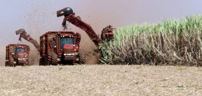 Falta de cana deve derrubar a moagem do centro-sul em 50% entre janeiro e março