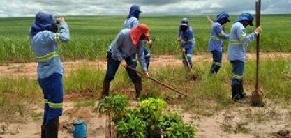 Polo Taquari da Atvos planta mais de mil mudas de árvore em área de reserva