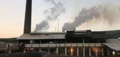 RenovaBio: Usina Coaf espera aumento da nota ambiental com a recertificação da cana e lucrar mais